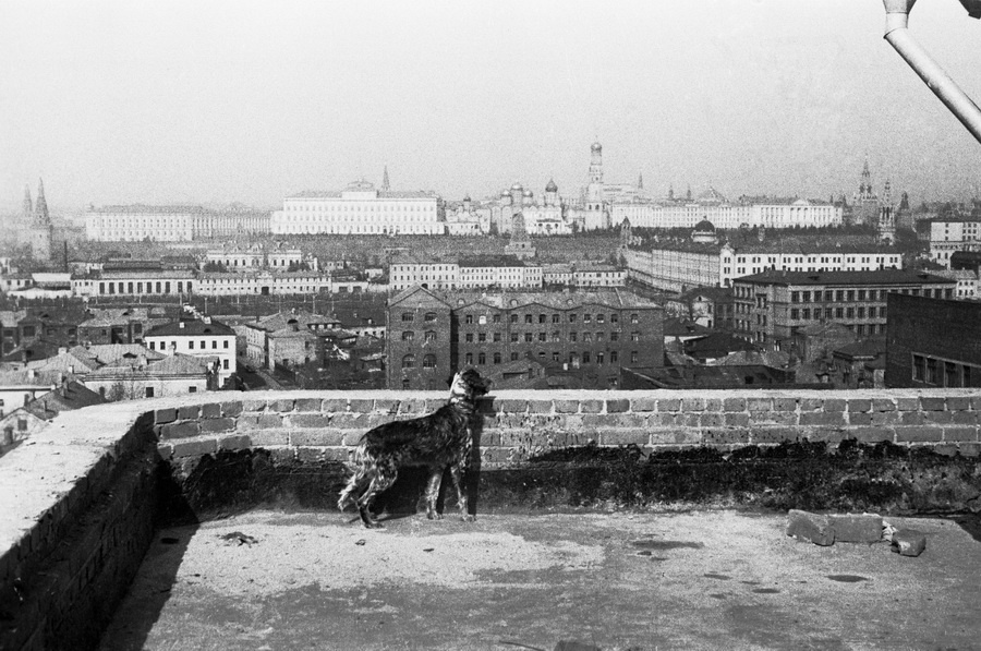 Из серии «Природа», 1937 - 1946, г. Москва. Снято с крыши «Дома писателей» в Лаврушинском переулке.Выставка «"С утра до ночи колокол звонит". Фотографии и дневники Михаила Пришвина», видео «Чудов монастырь уничтожен» с этим снимком.