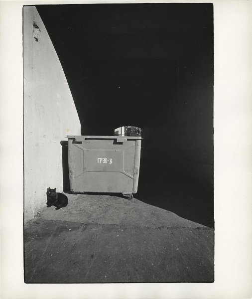 Без названия, 1990-е. № 101.Выставка «10 лучших фотографий кошек» с этим снимком.