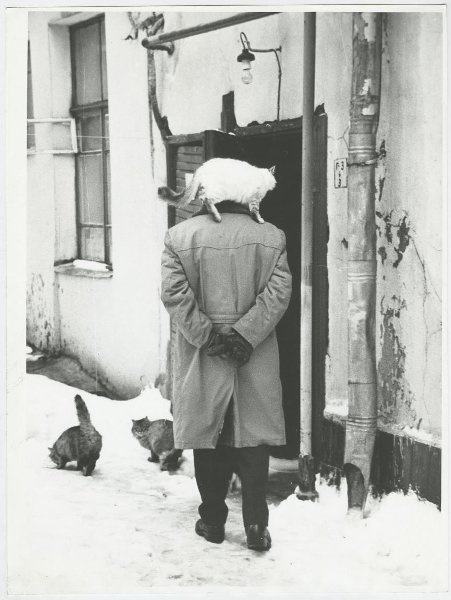 Из серии «Сретенка», 1997 год, г. Москва. Выставка «10 лучших фотографий кошек» и видео «Без кота и жизнь не та» с этой фотографией.