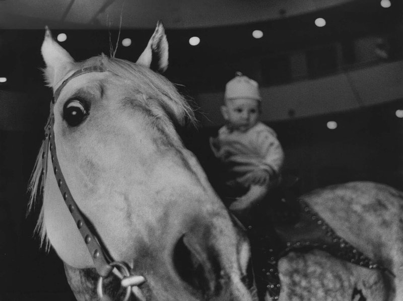 «По коням!» - История России в фотографиях