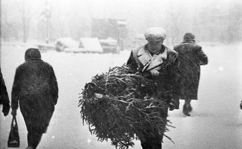 Мясников старые фотографии