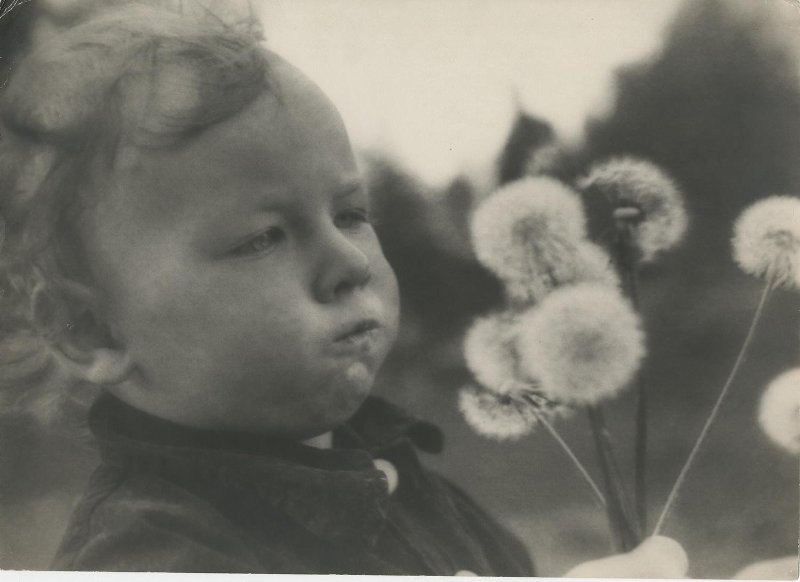 Портрет ребенка с одуванчиками, 1942 год. Выставка «"Вместе с ветром улетел": лучшие фотографии с одуванчиками» с этим снимком.&nbsp;