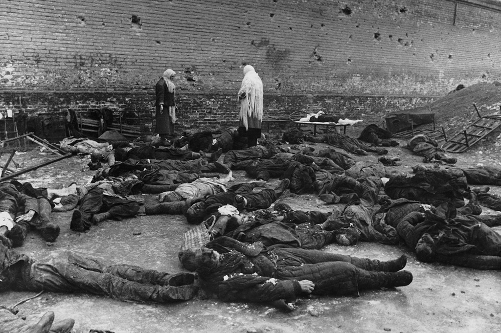 Расстрел мирного населения фашистскими войсками перед отступлением. Тюрьма в Ростове-на-Дону, 15 февраля 1943 - 31 марта 1943, г. Ростов-на-Дону. Видео «Евгений Халдей» с этой фотографией.&nbsp;