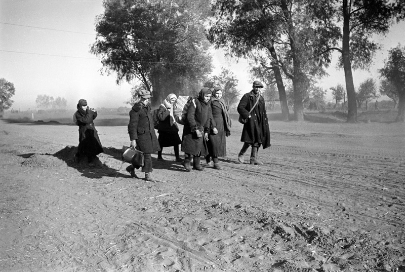 Сталинградская битва, январь - февраль 1943, г. Сталинград