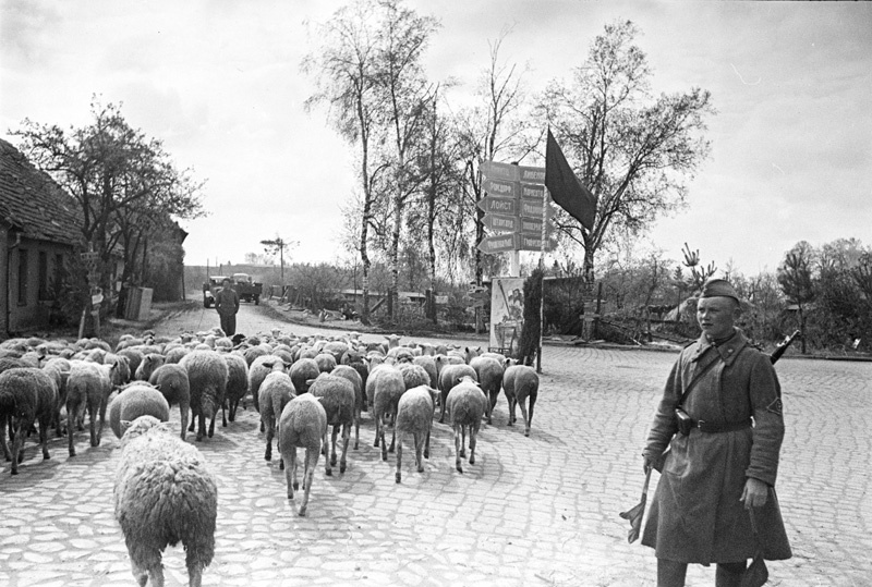 В Германии, 27 апреля 1945 - 8 мая 1945, Германия. Выставка: «Соблюдайте правила!» с этой фотографией.Берлинская наступательная операция.