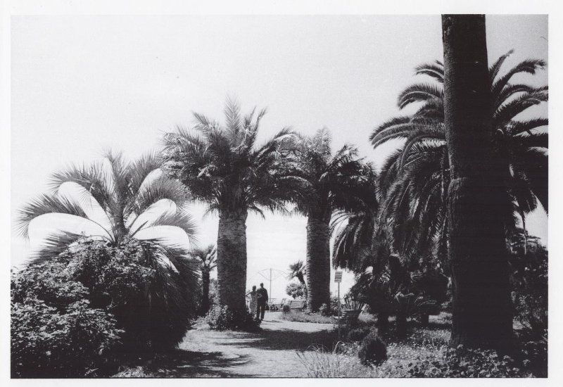 Гульрипш, 1950-е, Абхазская АССР, пос. Гульрипш. Выставка «Абхазия» с этой фотографией.&nbsp;