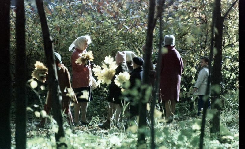 Дети в осеннем парке, 1961 - 1969