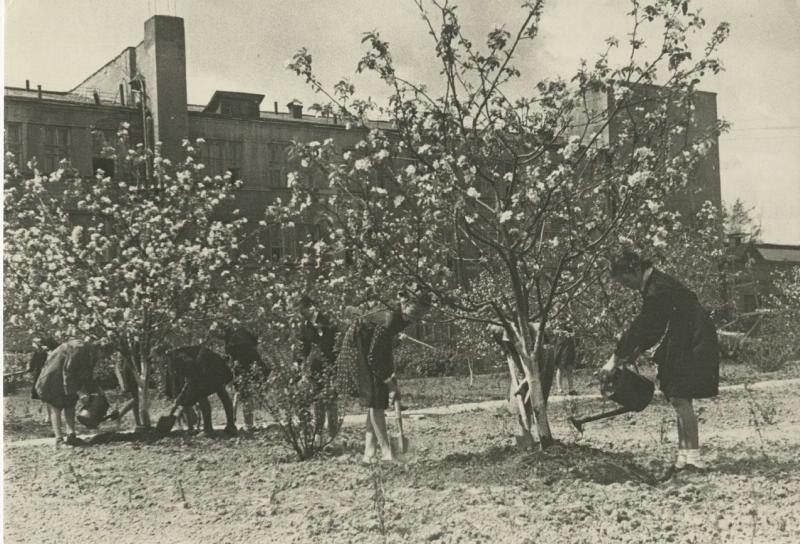 Пионеры в саду школы имени Зои Космодемьянской, 1949 год