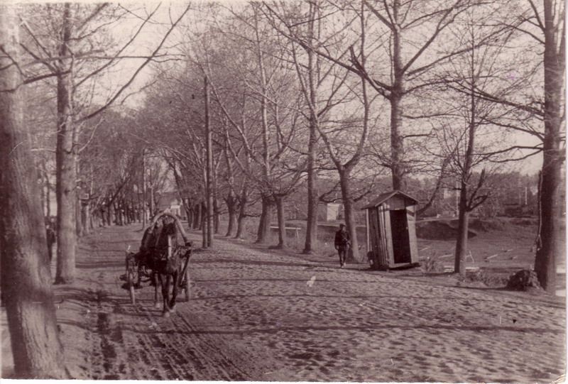 Аллея тополей в водницком городке, 1930-е, Череповецкий р-н
