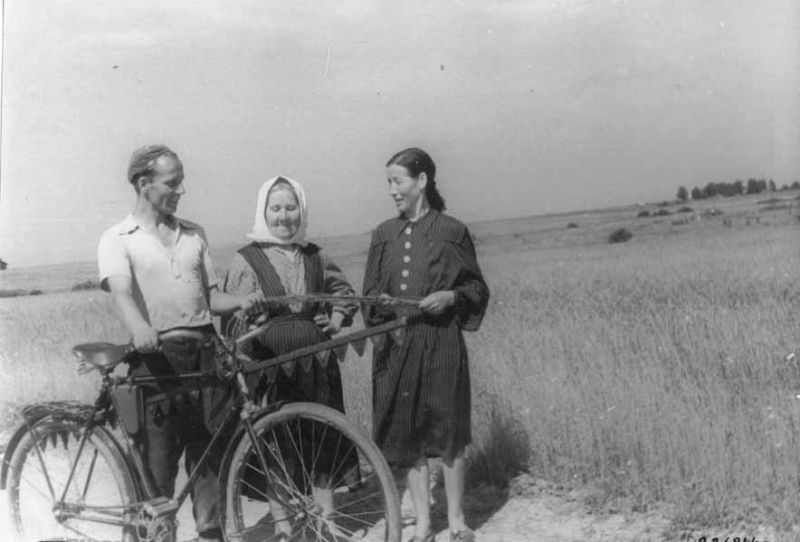 Бригадир тракторной бригады Драчев и звеньевые колхоза им. Сталина Фролова и Халявина осматриват посевы льна, июль 1954, г. Череповец и Череповецкий район