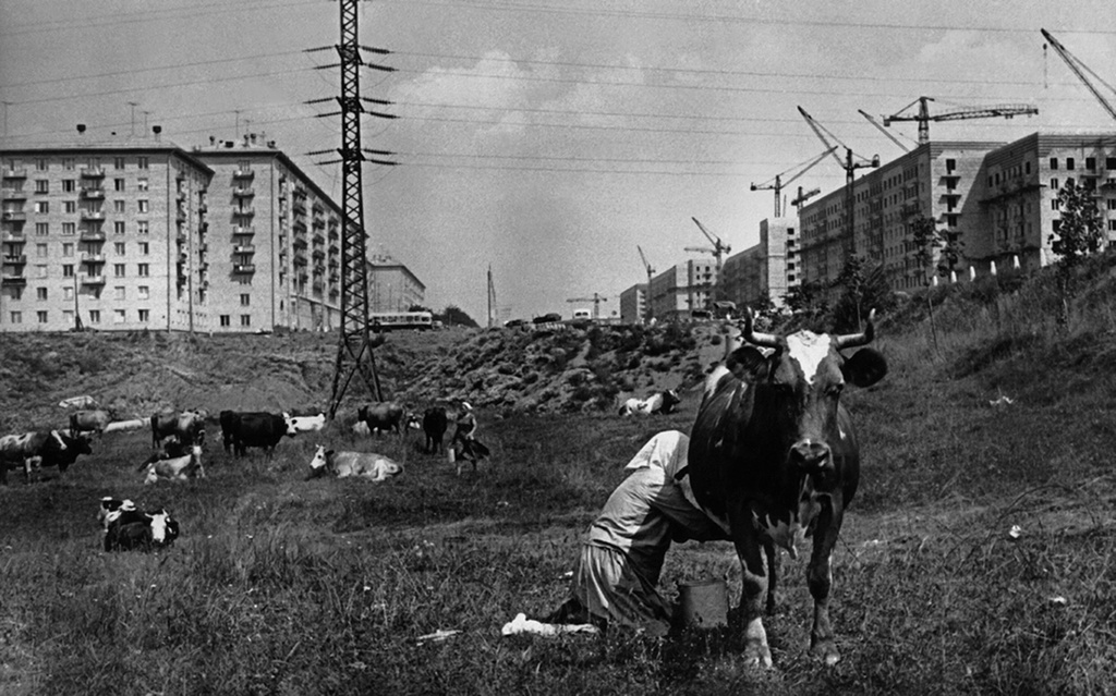Москва строится, 1954 год, г. Москва. Выставка «Пейте, дети, молоко – будете здоровы!» с этой фотографией.