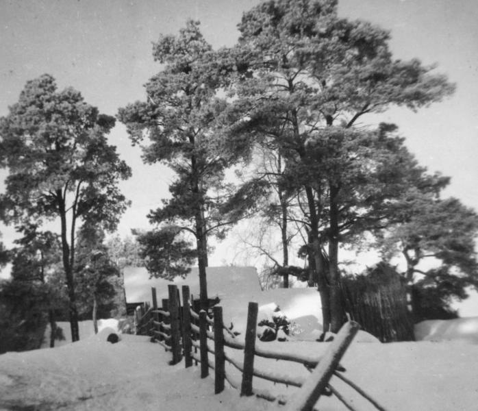 Изгородь, 1930-е