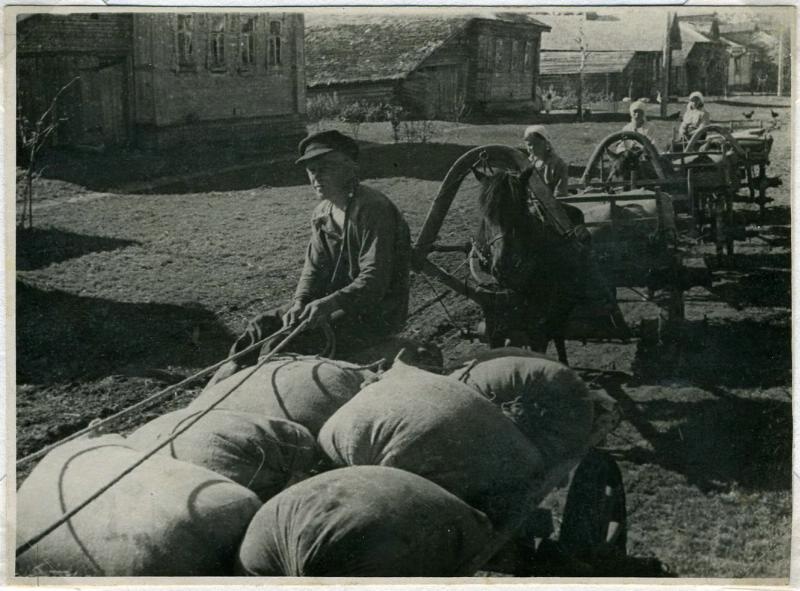 Вывоз зерна на элеватор, 1940 год