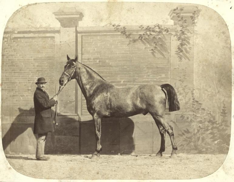 Конюх с жеребцом, 1860-е