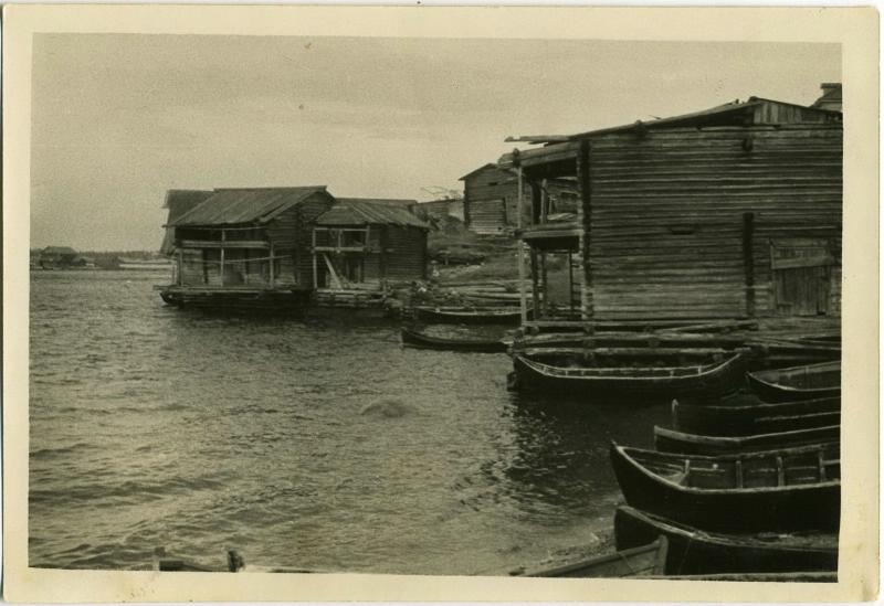 Деревня Летняя Золотица, 1920-е, Архангельская губ., дер. Летняя Золотица