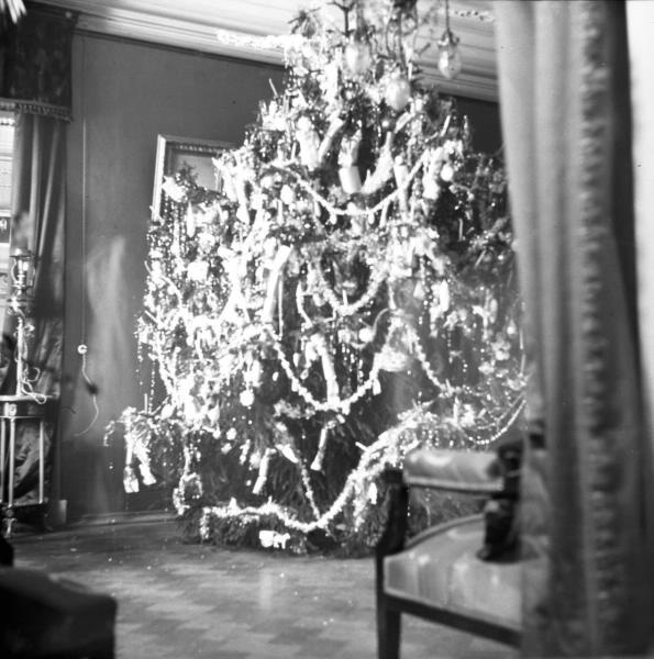 Наряженная рождественская елка в доме артистки Веры Шуваловой, 1911 год, г. Санкт-Петербург. Выставка «Дореволюционные елки» с этой фотографией.&nbsp;