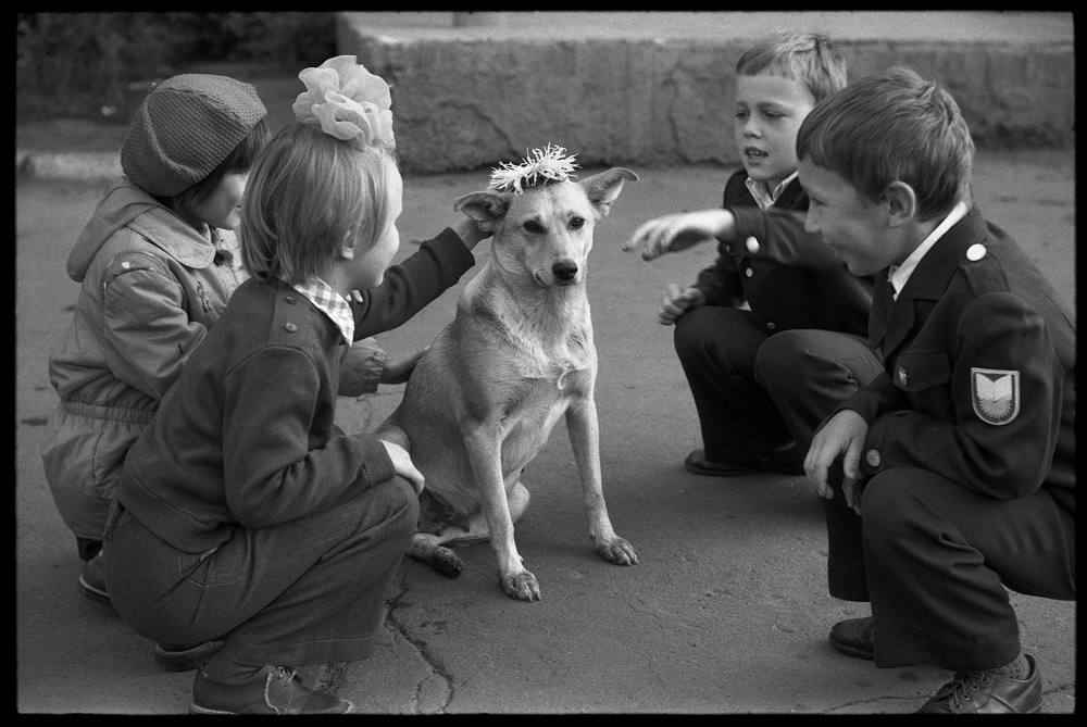 «Венок для собаки в День Знаний». Школа № 8, 1 сентября 1983, г. Новокузнецк. Выставки «В школу!» и «К цветку цветок...» с этой фотографией.