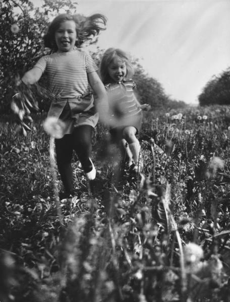Одуванчики, 1968 год. Выставка «"Вместе с ветром улетел": лучшие фотографии с одуванчиками» с этим снимком.&nbsp;