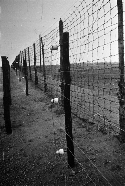Концлагерь Заксенхаузен. Колючая проволока под высоким напряжением, 1945 год, Германия. Находился рядом с городом Ораниенбургом.Выставка «Холокост» с этой фотографией.&nbsp;