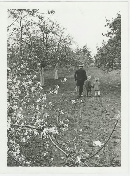 Цветение, 1945 год