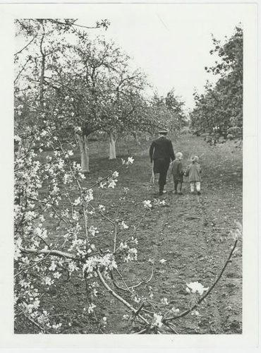 Весна 1945 года картинки