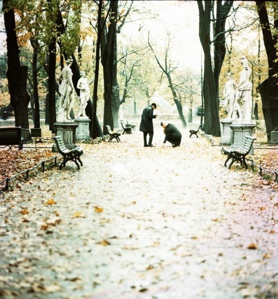 Осень в Летнем саду, 1961 - 1969, г. Ленинград