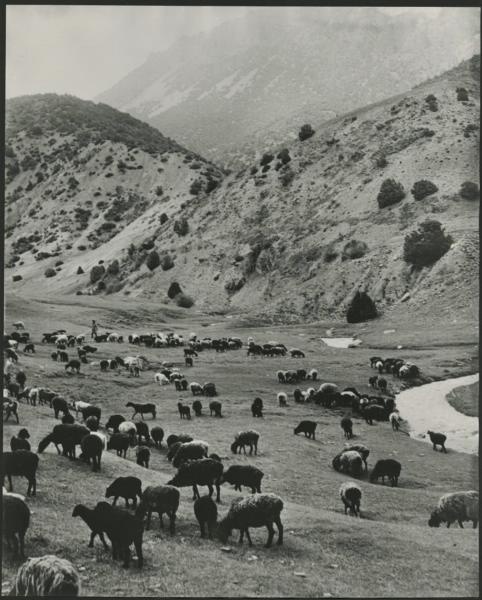 В горах, 1980-е, Узбекская ССР