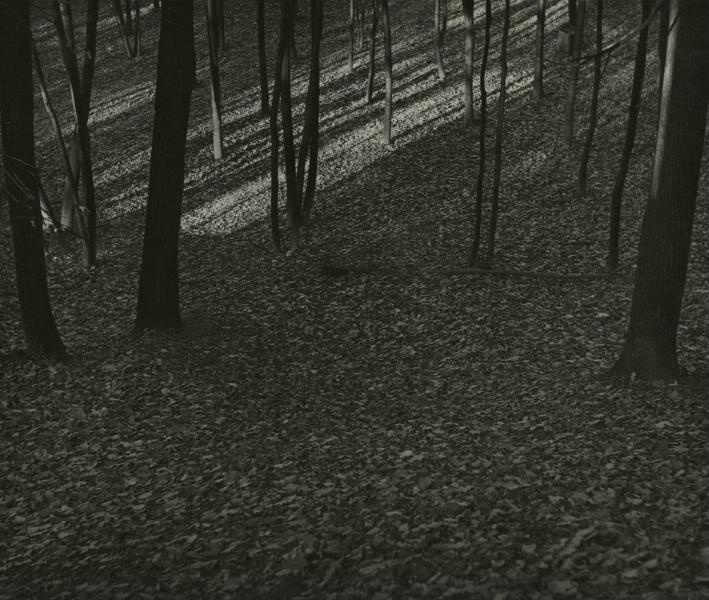 «Низкое солнце» № 2, 1970-е. Видеолекция «Александр Слюсарев. Метафизика света» с этой фотографией.