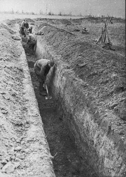 Готовят траншеи окопов под городом Смоленском, 1941 год, Смоленская обл.