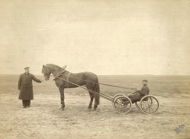 Жеребец Бережливый, 1890-е