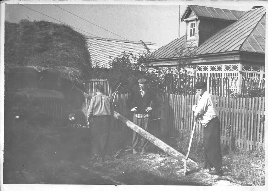 Фото "Сено привезли", 1959 - 1965, с. Домодедово - История России в ...