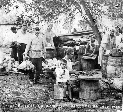 Засолка капусты в колхозе, 1930 - 1935, Краснодарский край, г. Геленджик, хутор Веселый