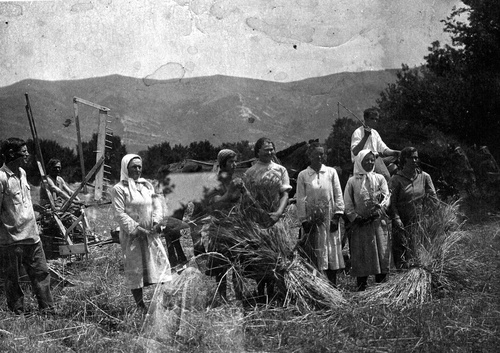 Уборка урожая, 1 мая 1925 - 31 декабря 1935, Краснодарский край, г. Геленджик
