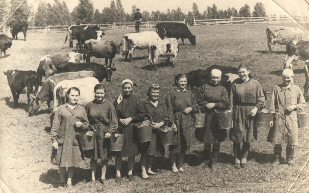 Сельское дело. 1929 Год колхоз им. Мичурина в Тюменской области. Председатель колхоза Большевик в 1930 годы. Совхоз Большевик Рязанская область. Совхоз Большевик СССР.