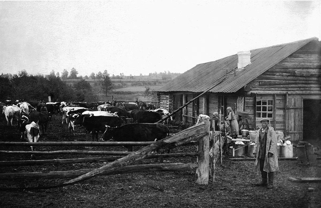 На летнем пригоне, 17 июня 1930, Уральская обл., совхоз Баранча
