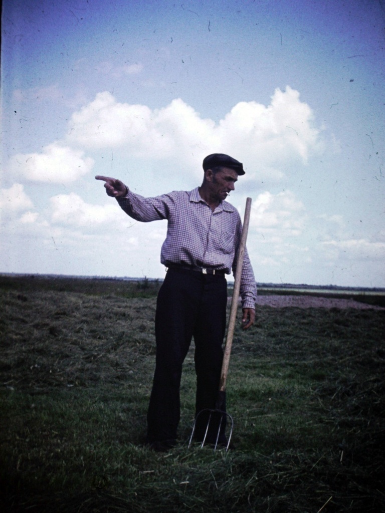 В поле, 1977 год, Калининская обл., Бежецкий р-н, дер. Чудинково. Выставка «Родом из Чудинково» с этой фотографией.&nbsp;