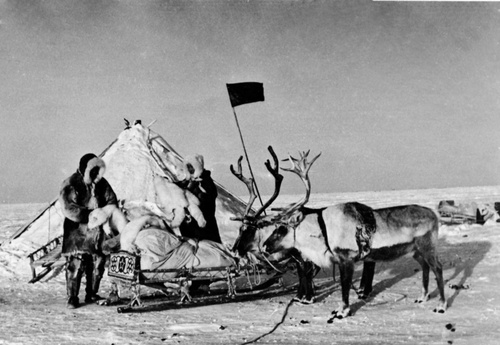 Отправка шкурок песца из бригады в колхоз, 8 марта 1954, Якутская АССР, Анабарский р-н, колхоз им. Ворошилова