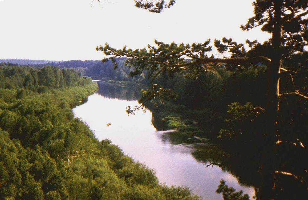 Река Чусовая, 20 июня 1982, Урал. Лодочный маршрут. Выставка «Лес» с этой фотографией.Фотография из архива Евгения Маланина.