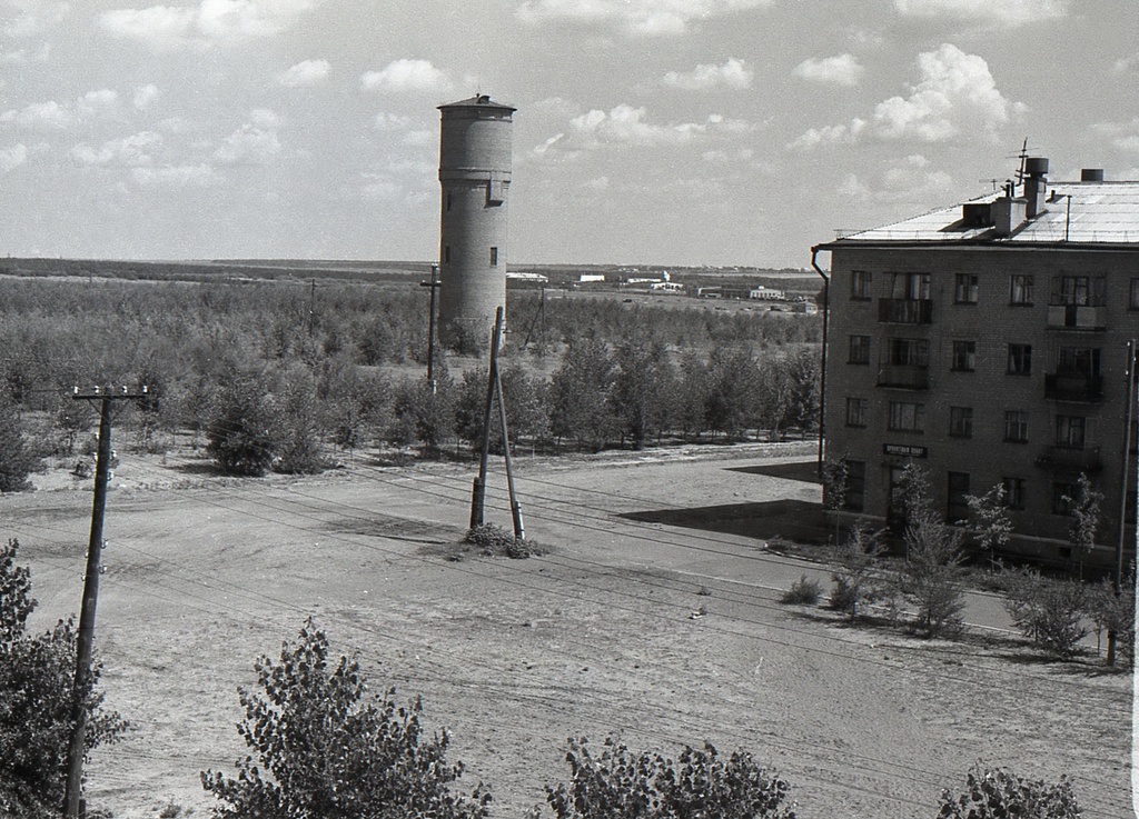 Городской парк в районе Интернат, 1963 - 1964, Воронежская обл., г. Лиски. В сентябре 1964 года на площади 9 гектаров, между школой № 10 и школой-интернатом, заложен городской парк.&nbsp;Фотография из архива Олега Тарасенко.Выставка «Курская и Воронежская» с этой фотографией.