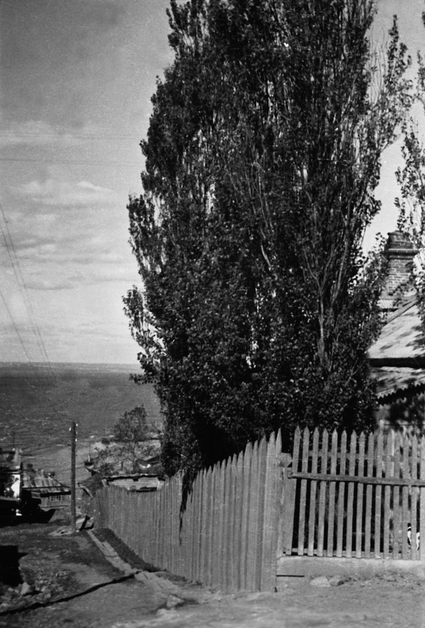 Из серии «Дальний Восток», 1931 год, Приморский край
