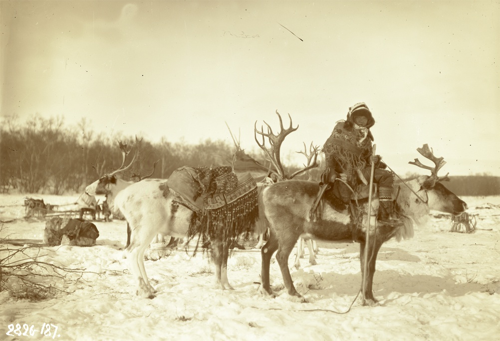 Женщина верхом на олене, рядом – олень с колыбелью, 1911 год, Камчатская обл.. Ительмены.Выставка «В фотообъективе Кунсткамеры: повседневность» с этой фотографией.