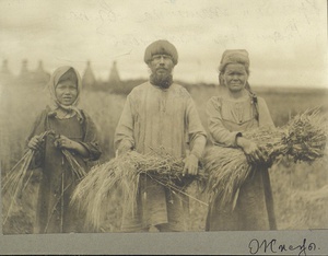 Жнецы, 1906 год, Вологодская губ.. Коми-зыряне.&nbsp;Выставки: «В фотообъективе Кунсткамеры: календарные обряды», «В фотообъективе Кунсткамеры: повседневность» с этой фотографией.