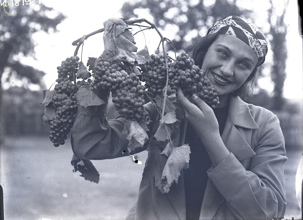 Женщина с гроздью винограда, 1938 год, Грузинская ССР. Имеретинцы. Выставки&nbsp;«В фотообъективе Кунсткамеры: календарные обряды», «В фотообъективе Кунсткамеры: повседневность», «Не забывайте радовать людей улыбкой»  с этой фотографией.