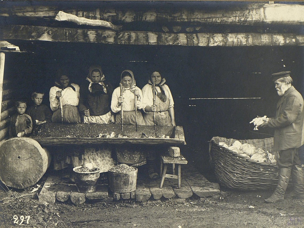 Рубка капусты, 1900 - 1905, Оренбургская губ.. Русские.Выставка «В фотообъективе Кунсткамеры: повседневность» с этой фотографией.