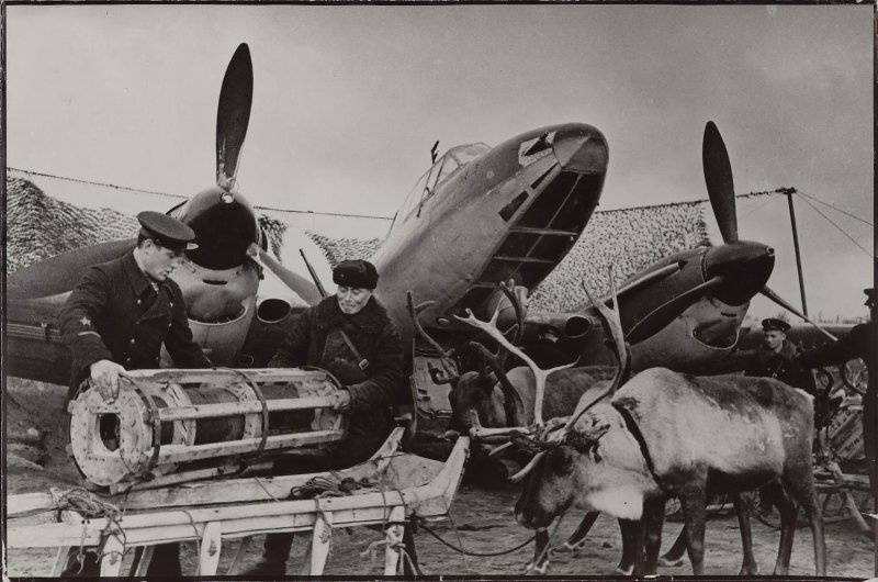 Гужевой транспорт во время войны, 1941 год. Выставка «По России на санях» с этой фотографией.