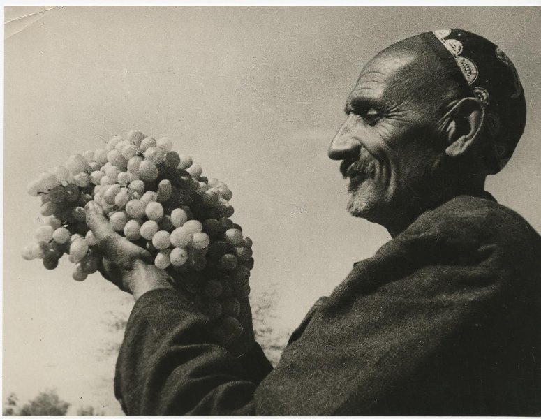 Лучший виноградарь Узбекской республики орденоносец Ризамат Мусамухамедов вывел особый сорт винограда в Узбекистане «Рундвайс», 1939 год, Узбекская ССР. Выставка «Жемчужина в оправе скал» с этой фотографией.
