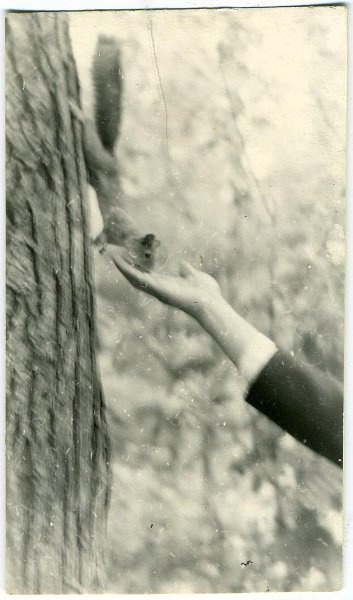 «Доверие», 1969 год