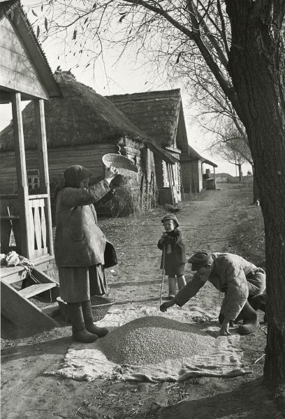 Крестьянские заботы, 1934 год. Выставка «Авангард Михаила Прехнера» с этой фотографией.