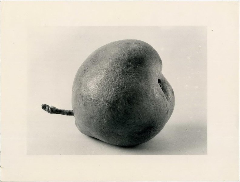 Груша сорт «Нарармуд», 1954 год. Выставка «Food фотография» с этим снимком.