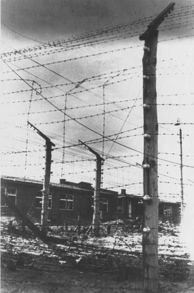 9 мая 1945 года. Лагерь смерти «Штуттгоф». Ограда лагеря. Колючая проволока под высоким напряжением, 9 мая 1945, Польша. Выставка «Холокост» с этой фотографией.&nbsp;